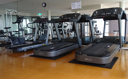 Gym equipment